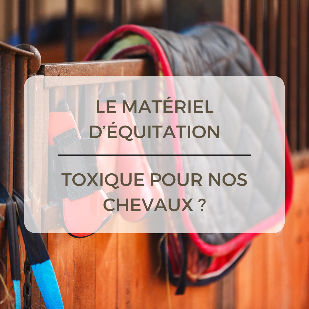 Le matériel d'équitation est-il toxique pour nos chevaux ?