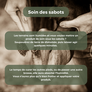 Terre de diatomée (Parasites, soutien minéral, soins)